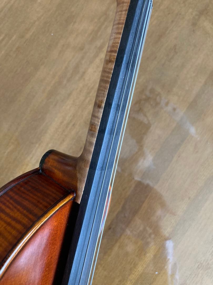 Gliga CRISTIAN GAMA バイオリン 4/4 1枚板