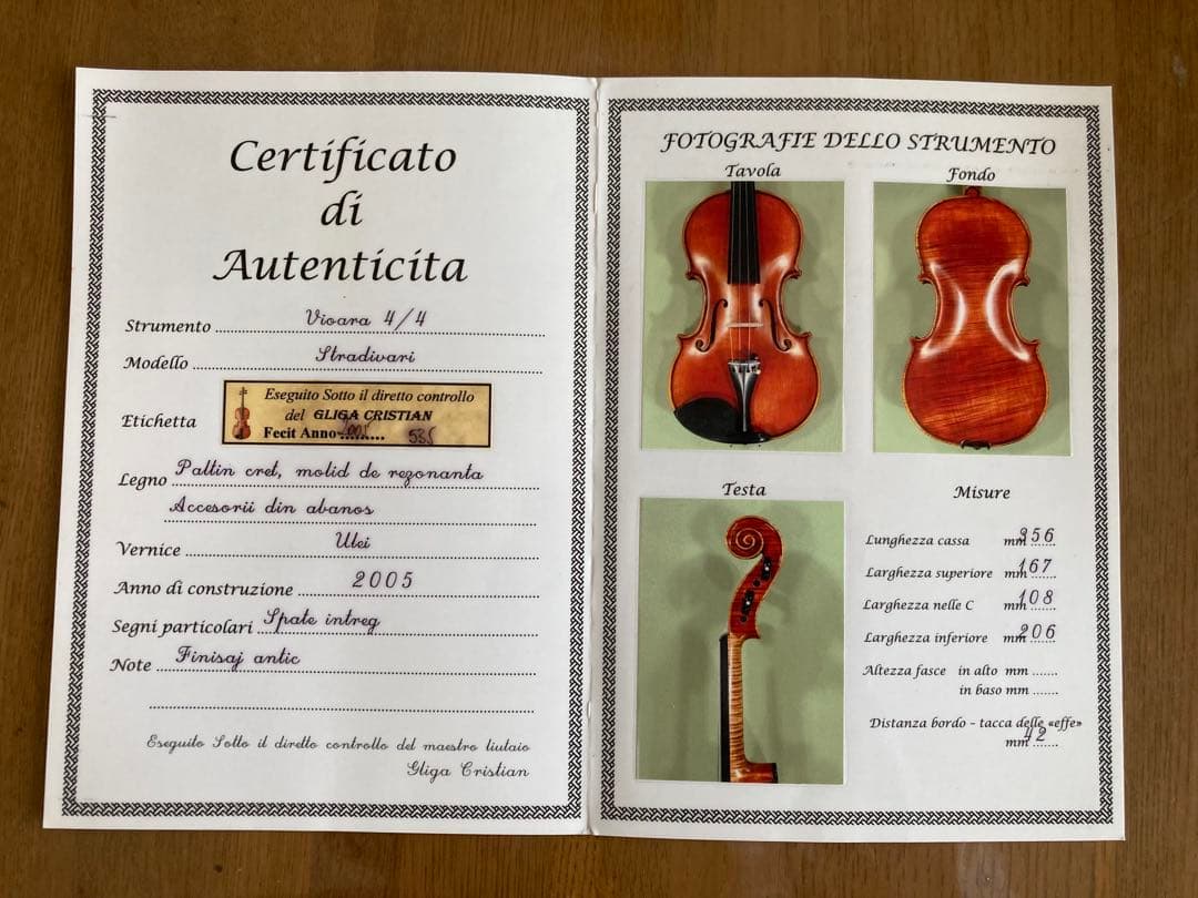 Gliga CRISTIAN GAMA バイオリン 4/4 1枚板
