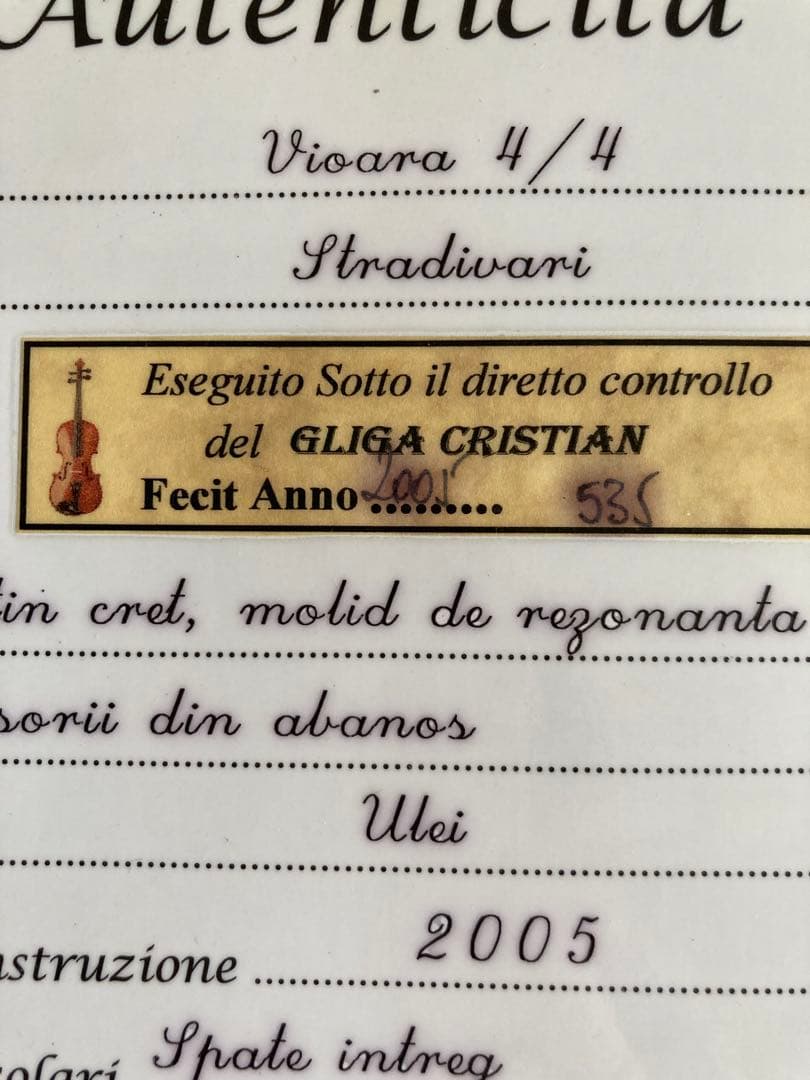 Gliga CRISTIAN GAMA バイオリン 4/4 1枚板