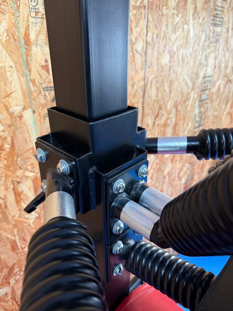 【みどりがめ】