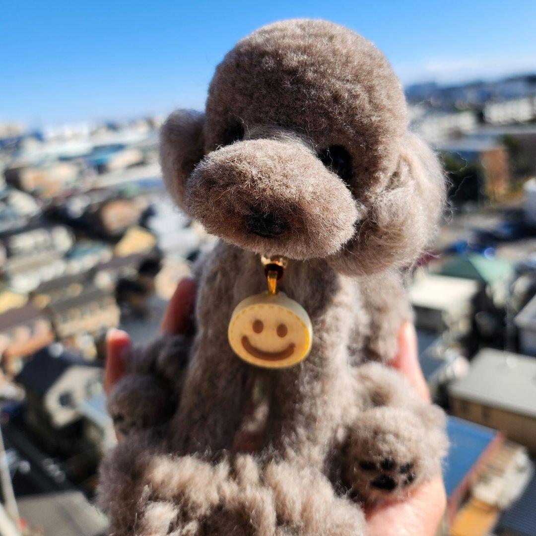 トイプードル❤️ハンドメイド❤️羊毛フェルト　　　　　　　　　お迎え決まりました