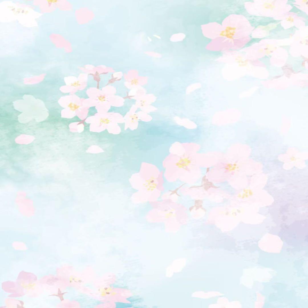 tomatoけい様3点セット