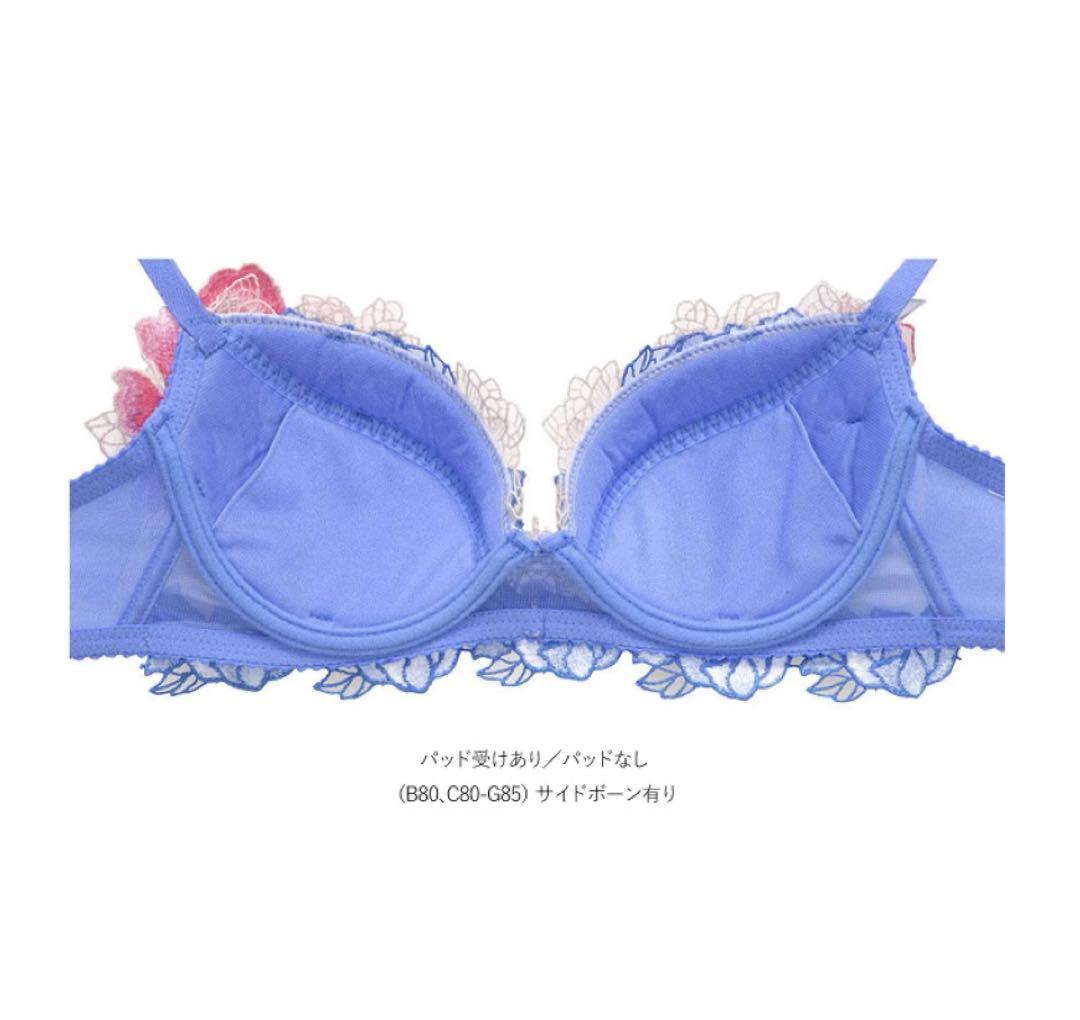 (価格変更しました❣️さらに値下げしました)サルートワコールランジェリー3点セット