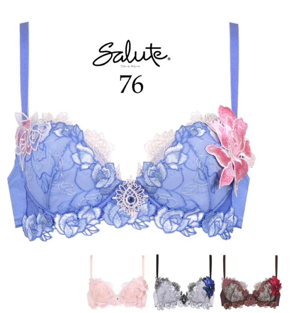 (価格変更しました❣️さらに値下げしました)サルートワコールランジェリー3点セット