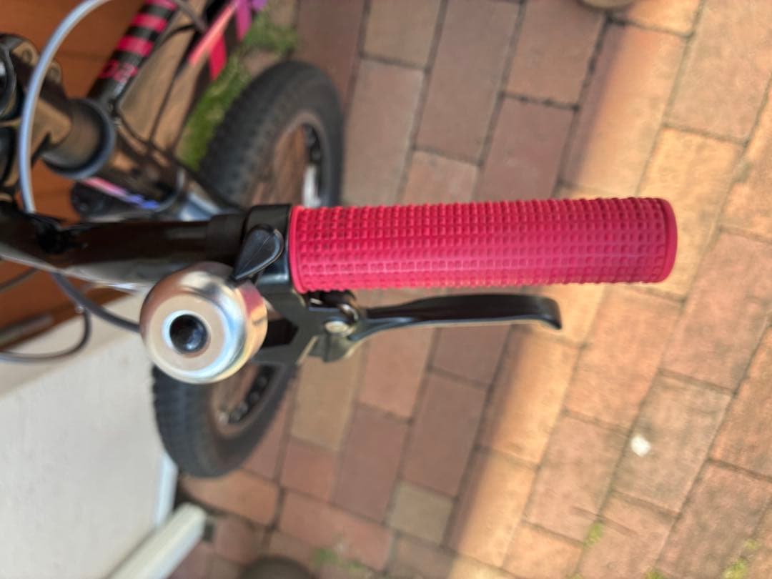 Trek Precaliber 20インチ 黒