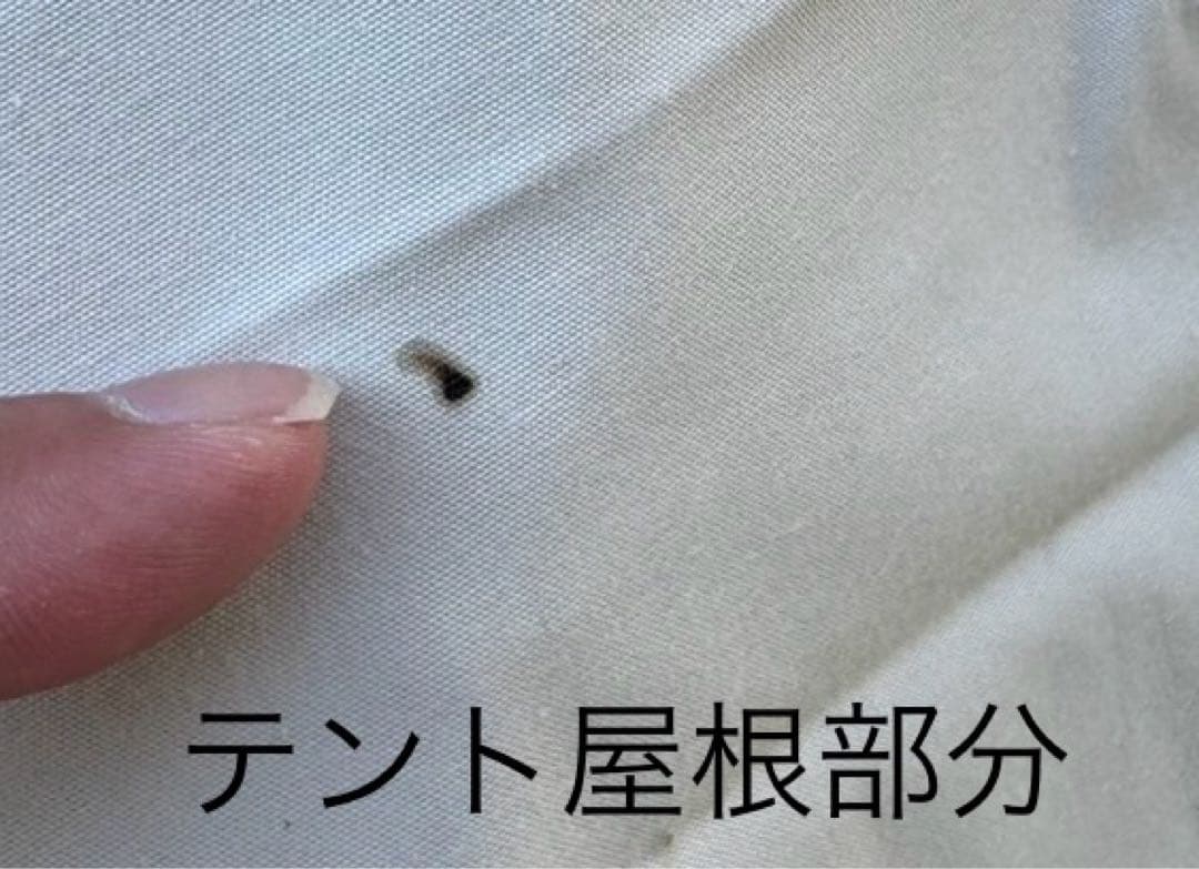 Ogawa アポロンTC 5人用　インナーテント付き商品①