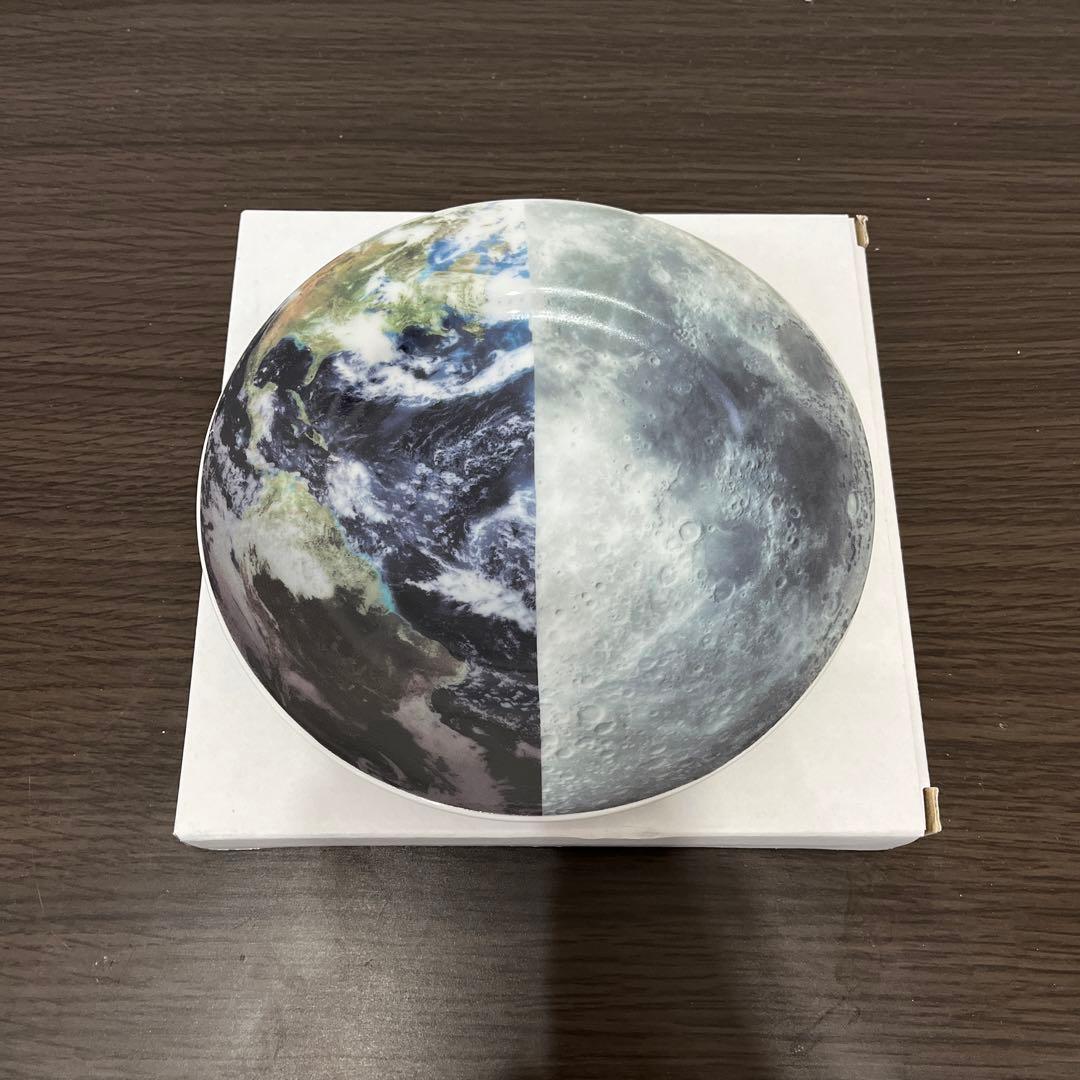 平皿(ANREALAGE × case study コラボ)