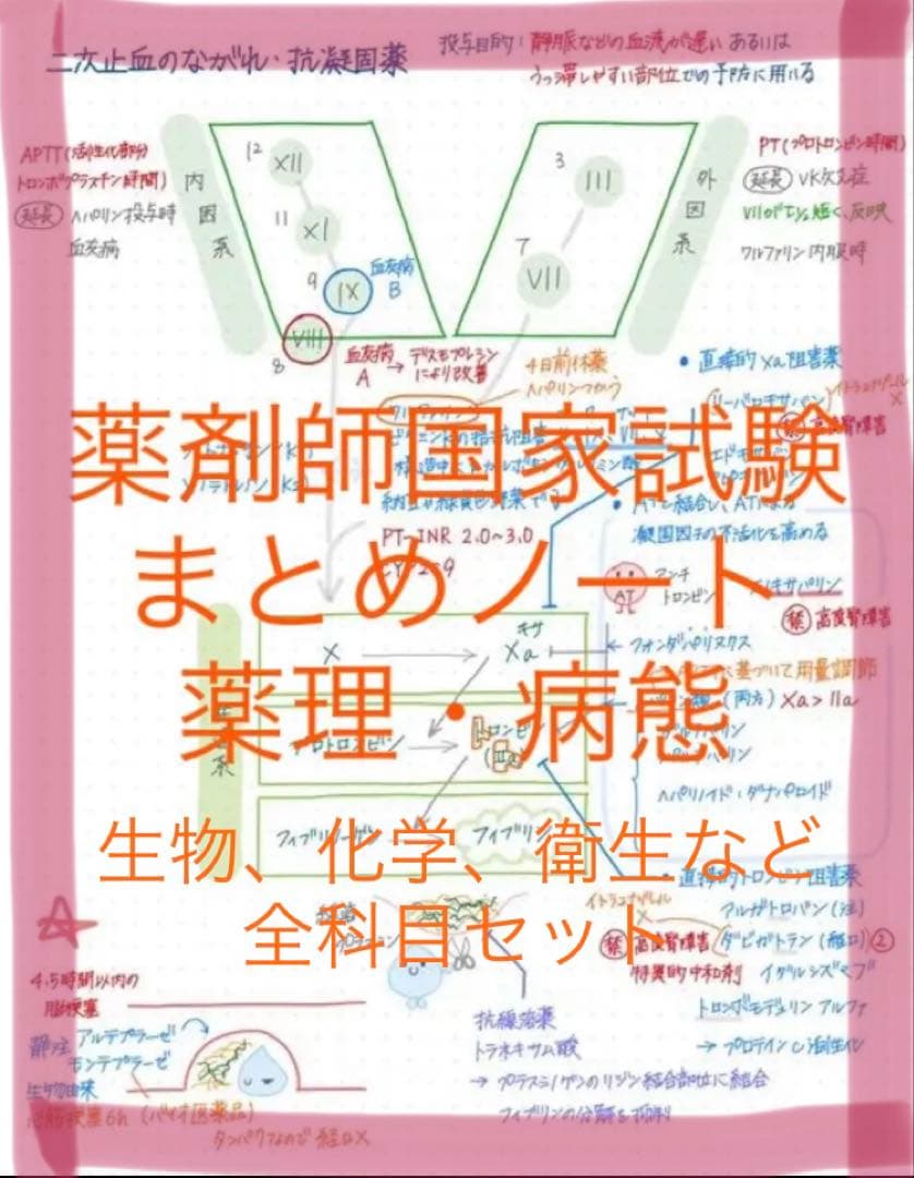 薬剤師国家試験対策 まとめノート 全科目セット 薬学部