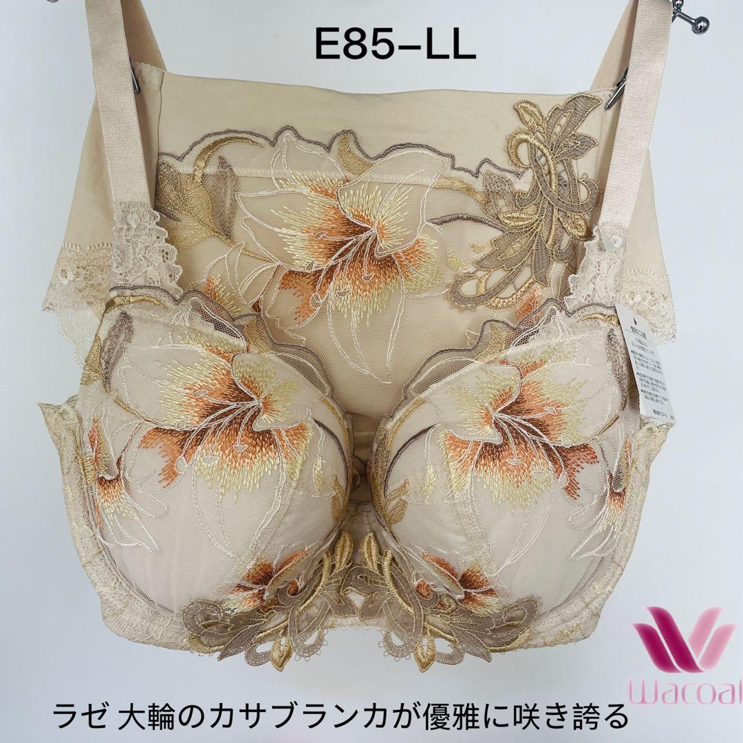 ワコール／ラゼ 大輪のカサブランカが優雅に咲き誇るブラジャーショーツE85-LL