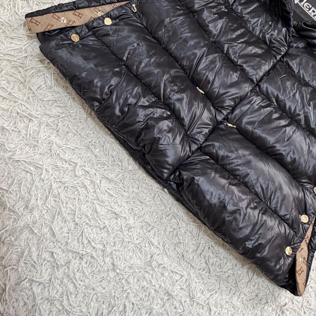 17530✨ヘルノ モノグラム ウルトラライトダウンジャケット 38 ブラック