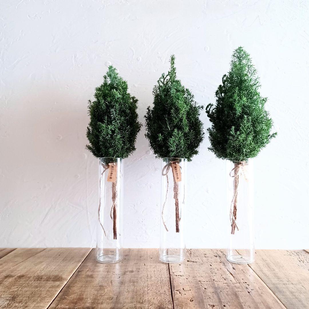 新品 未使用 ドライフラワー スワッグ ツリー 卓上 インテリア 雑貨 店舗什器