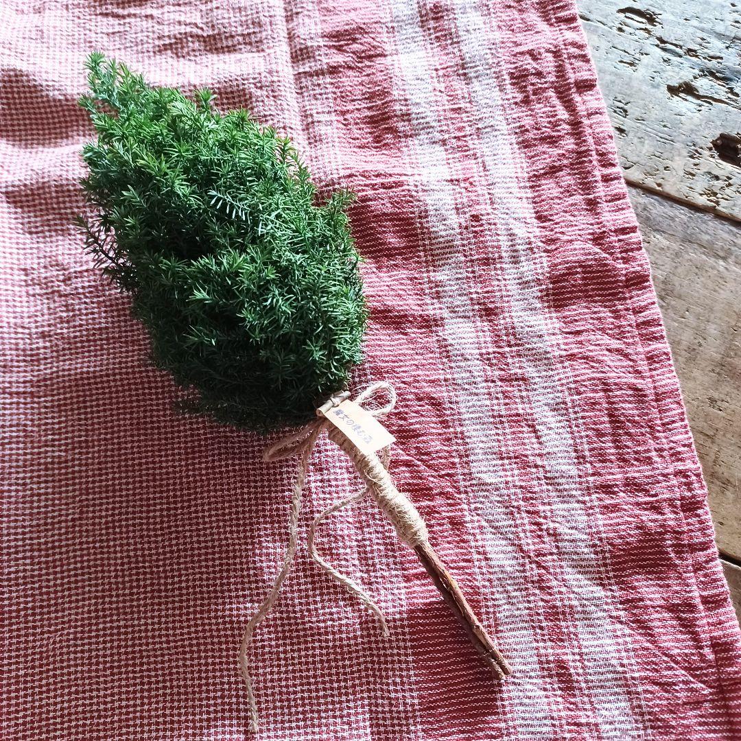 新品 未使用 ドライフラワー スワッグ ツリー 卓上 インテリア 雑貨 店舗什器