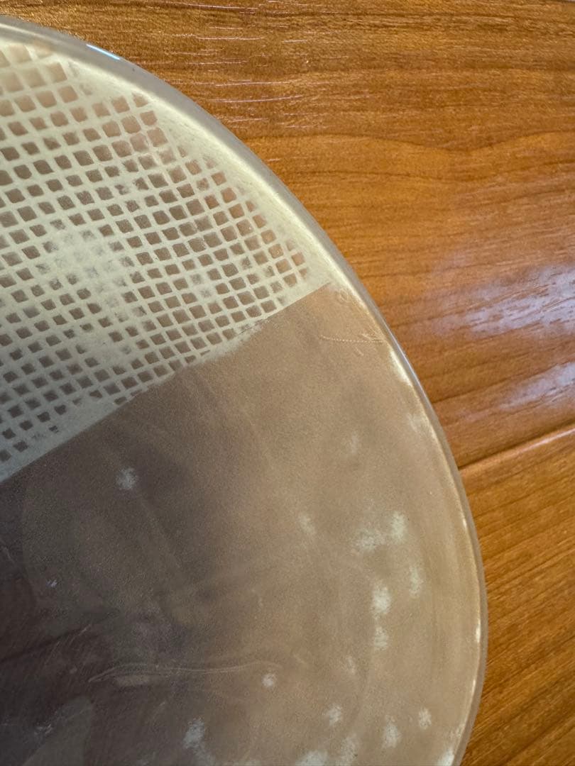 お値下げ⭐️未使用⭐️辻和美 factory zoomer ガラス皿 2枚セット