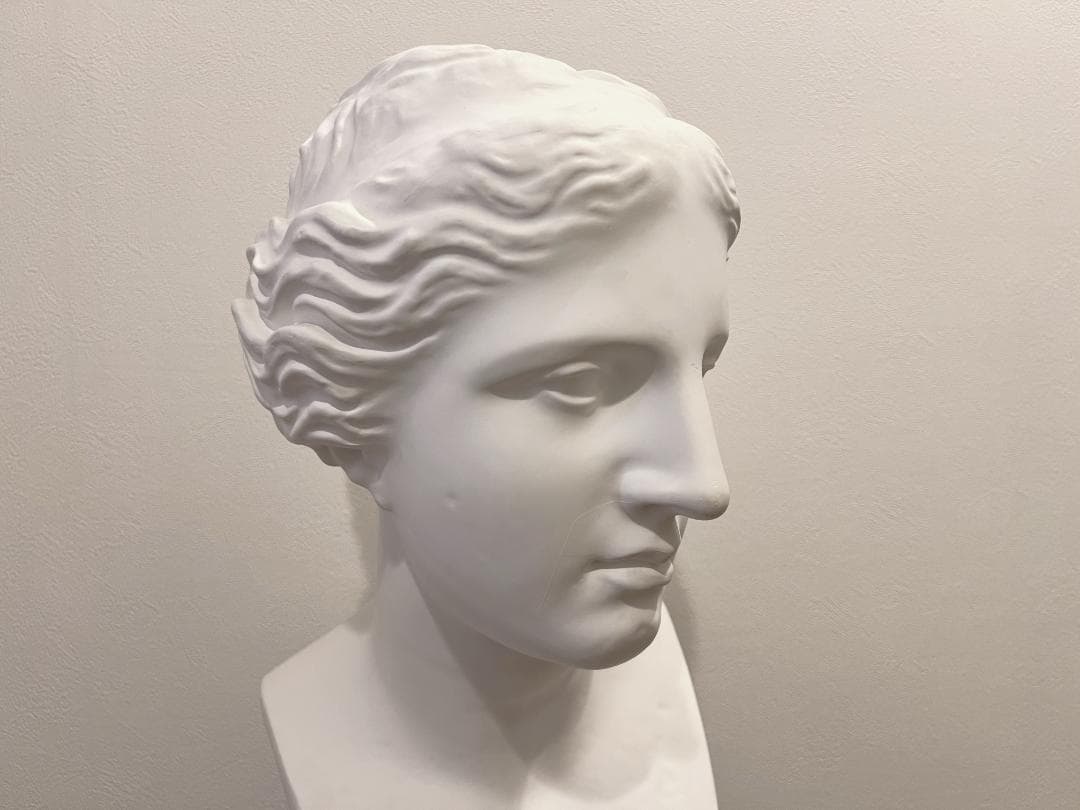 石膏像 ミロのヴィーナス 胸像 　デッサン インテリア