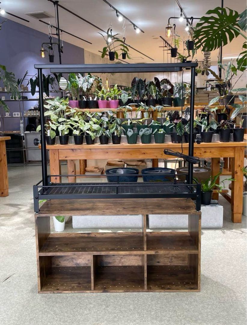 1台限定　黒塗装済み完成品　アイアン　ミニ植物棚　ダクトレール50cm付き！