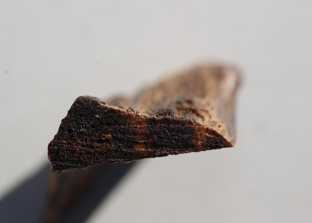 香木 古渡命銘木 「初音」約0.28g 沈香 伽羅 奇南 奇楠 お香 香道