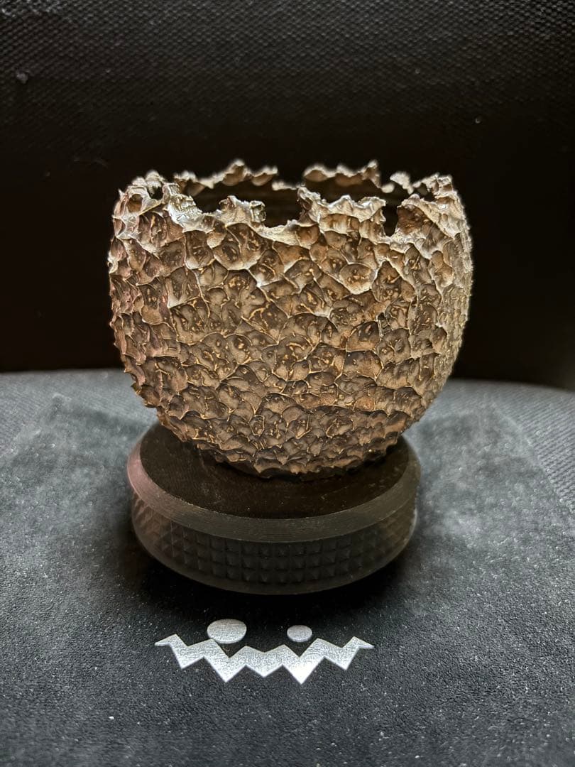 RAW LIfE FACTORY 鬼嫁 初期作 鶴仙園 RLF 鉢 アガベ