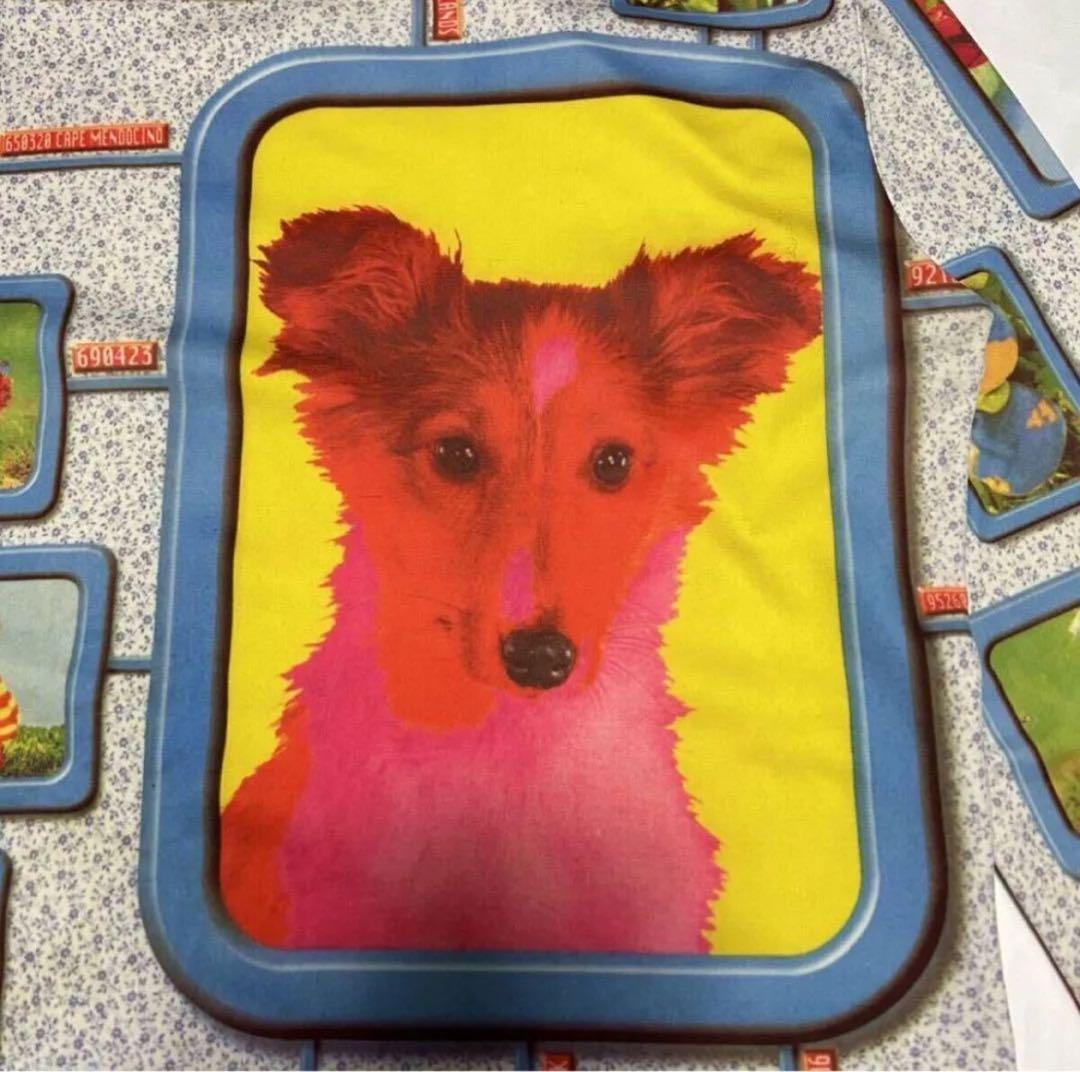 97SS W&LT Animal Vision Top 90s パワーネット