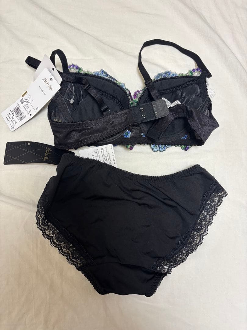 salute サルート 81G 81グループ セット C65 BL