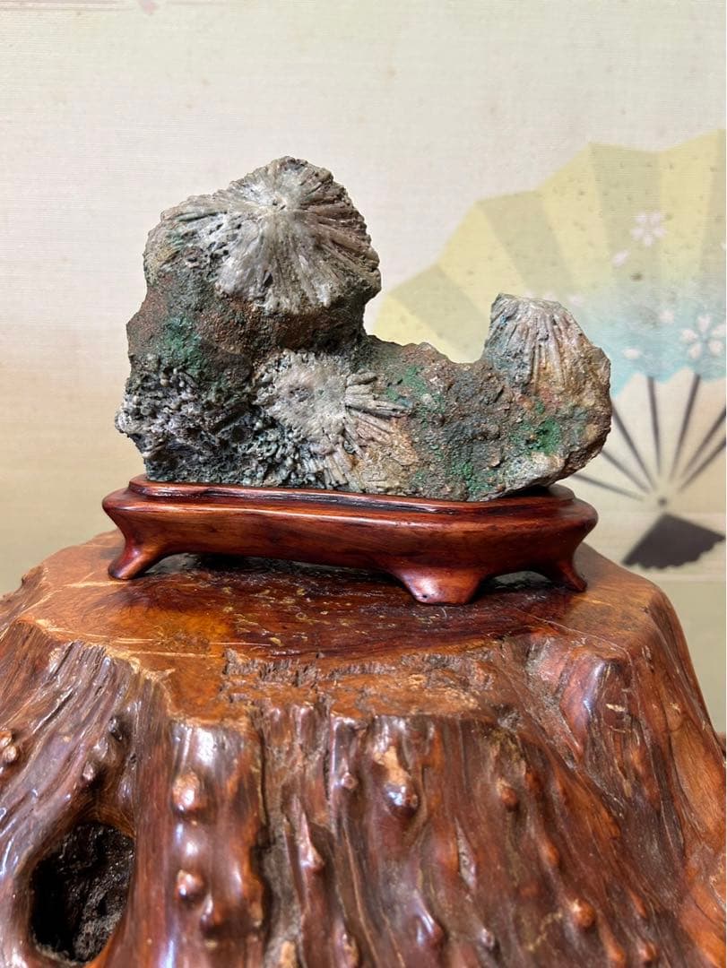 下仁田菊花石　名石