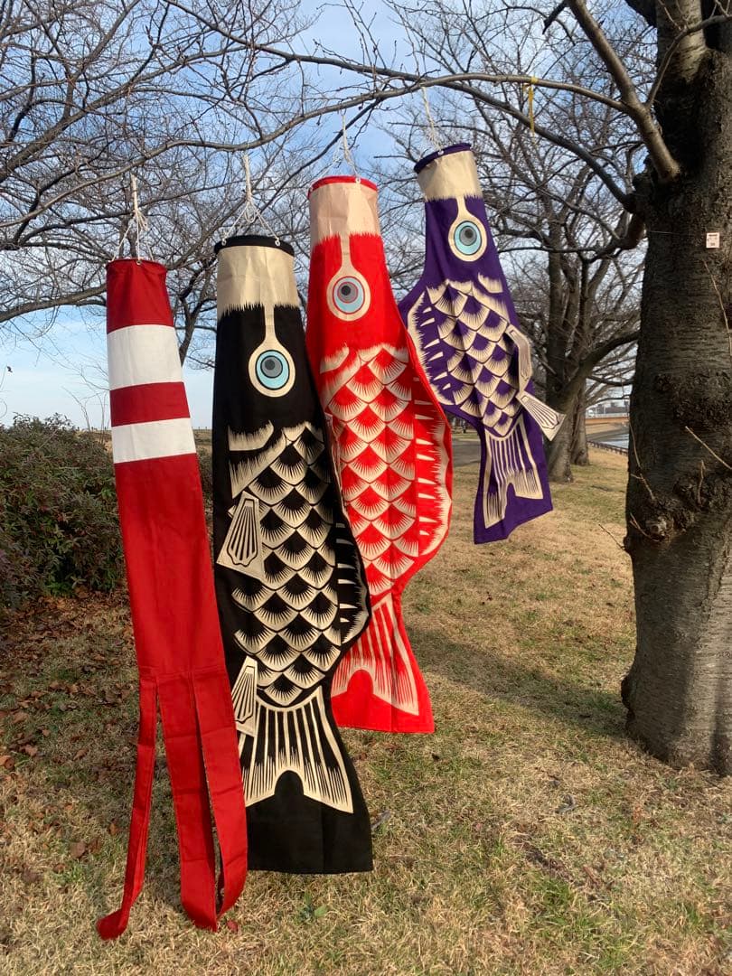 歌川広重「名所江戸百景　水道橋駿河台」手染め豆広重鯉1.1m子鯉紫セット鯉のぼり