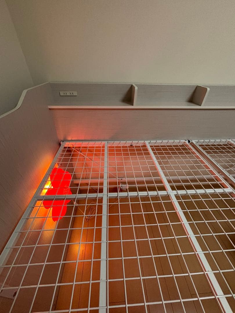 ryo！栃木市取りに来ていただける方