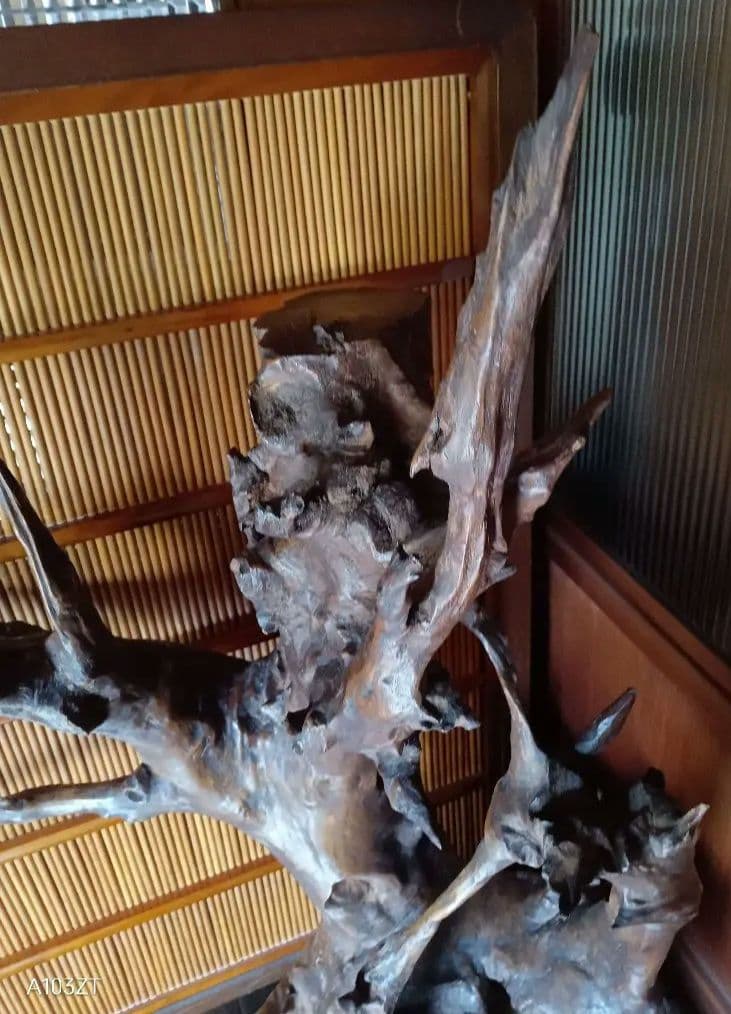 流木　インテリア 骨董品　骨とう品　レトロ　昭和　アンティーク　コレクション