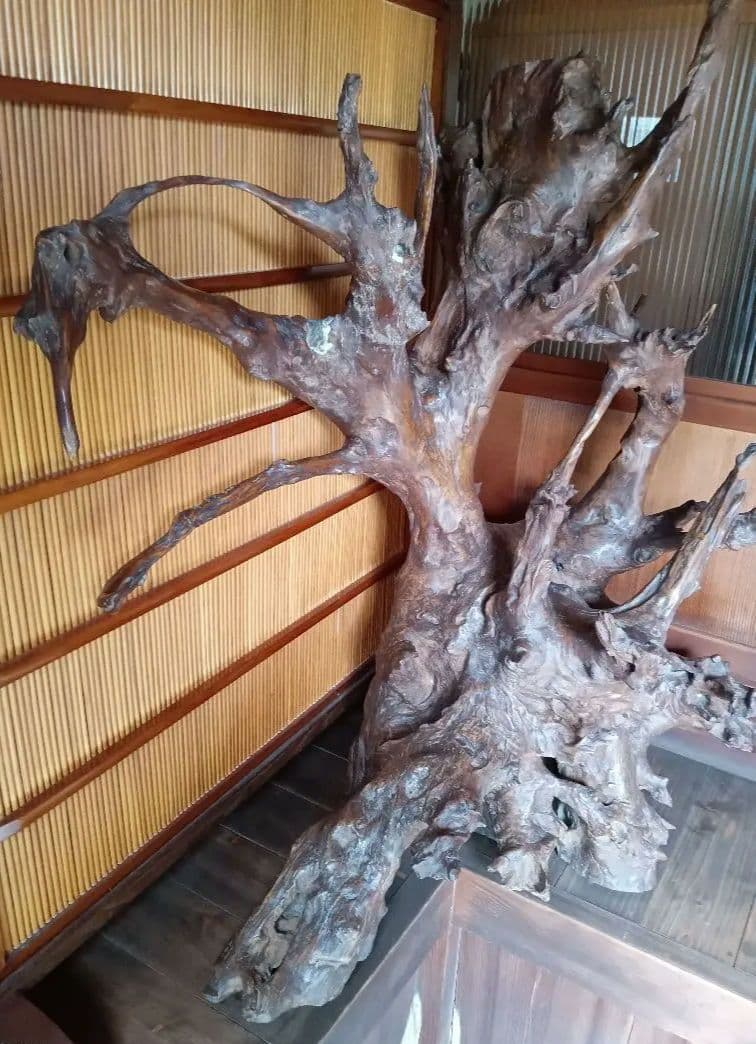 流木　インテリア 骨董品　骨とう品　レトロ　昭和　アンティーク　コレクション