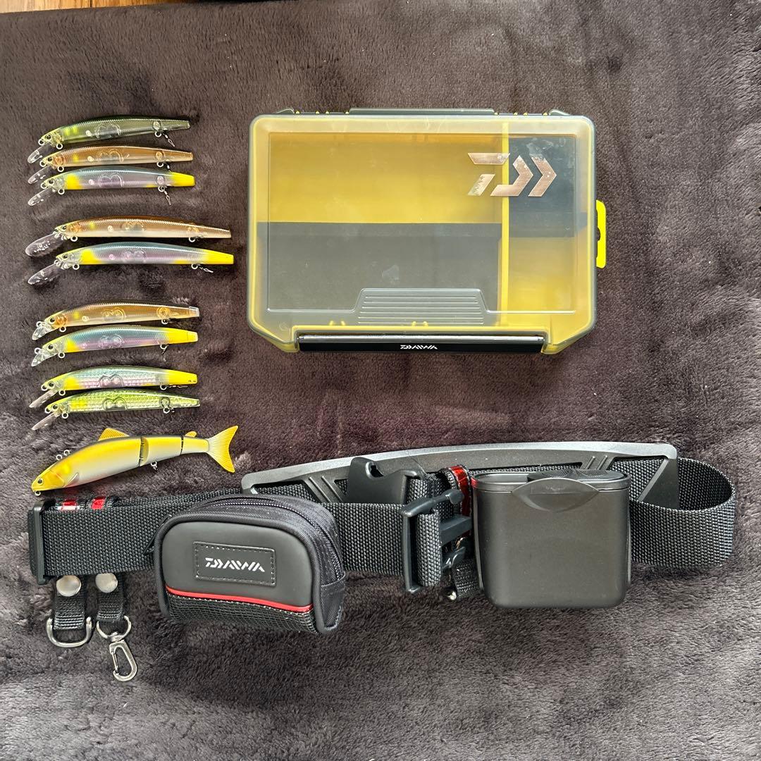 アユイングミノー