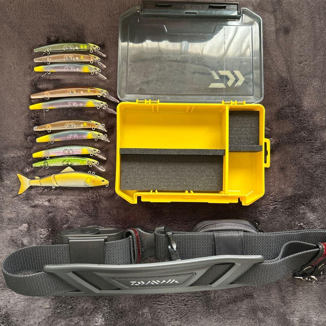 アユイングミノー