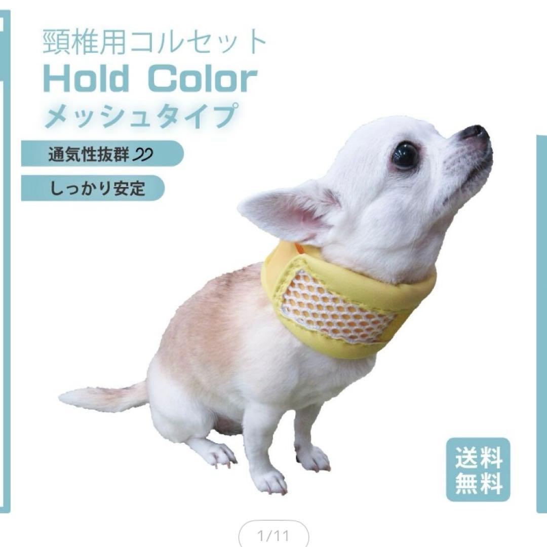 Hold Color メッシュタイプ エリザベスカラー
