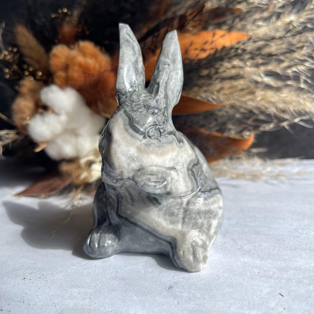 ピカソジャスパー うさぎ ラビット