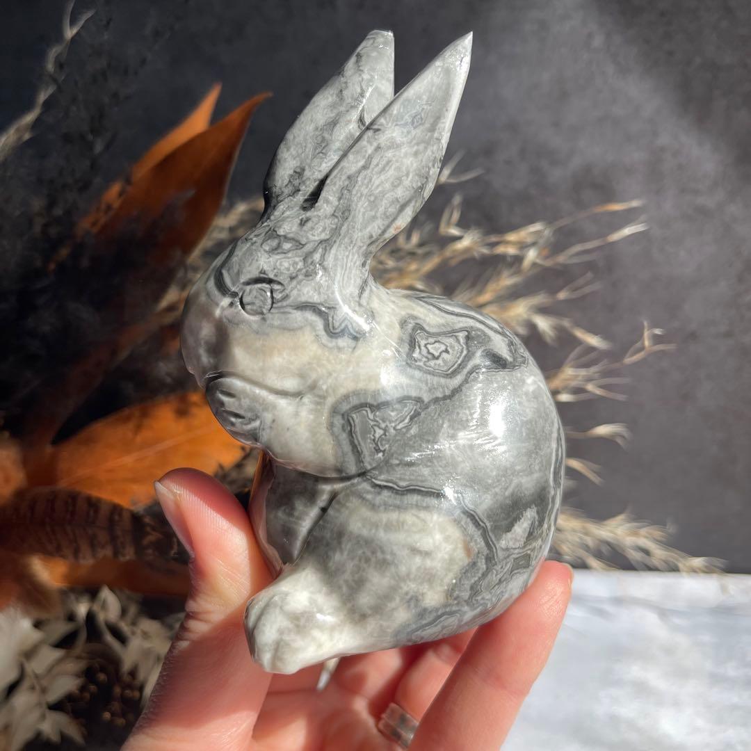 ピカソジャスパー うさぎ ラビット