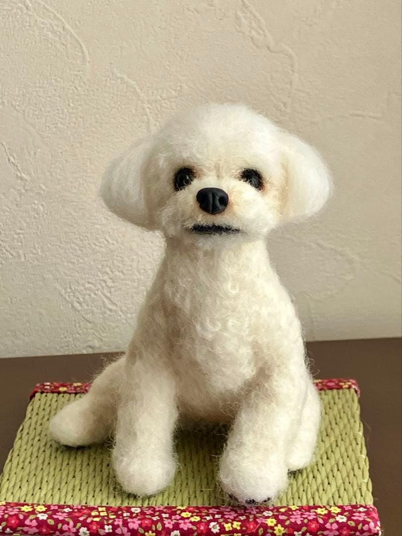 羊毛フェルト マルチーズ×チワワMIX犬