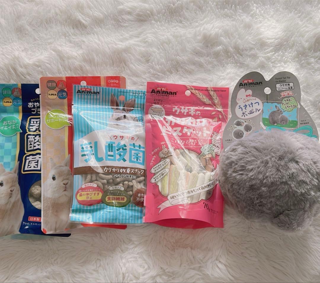 モルモット うさぎ 飼育用品 牧草