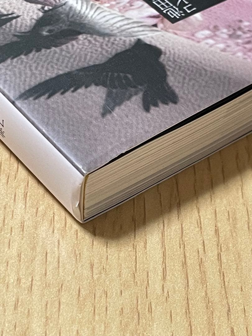 半衿のおしゃれ・夏のおしゃれ2点おまとめ、池田重子流きものコーディネート