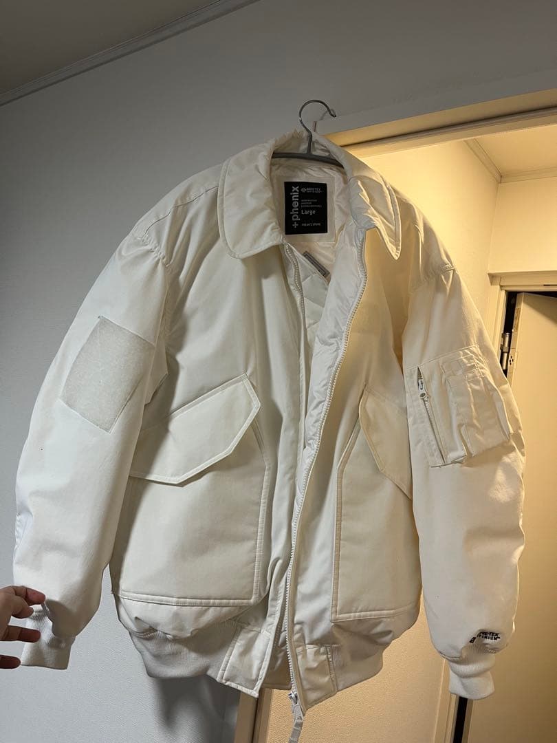 TTさん専用+phenixフェニックスGORE-TEX DOWN Flight