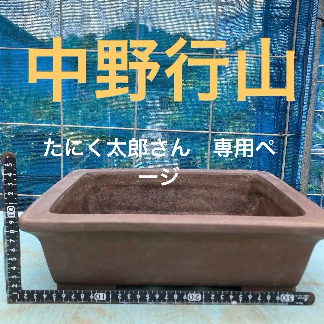 貴重な手作り中野行山