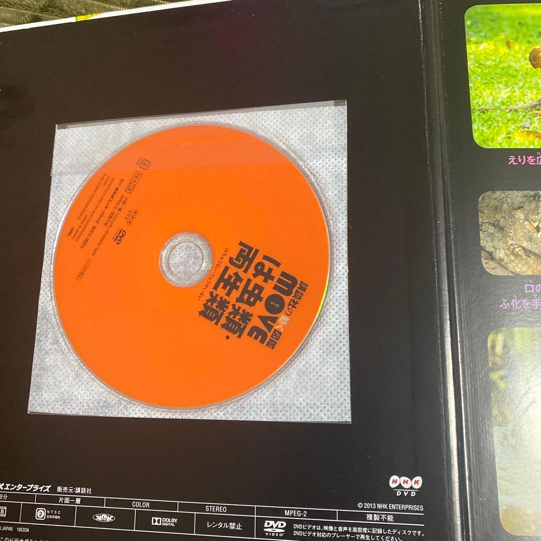 【計17冊セット】小学館の図鑑neo 講談社の動く図鑑 DVDつきあり