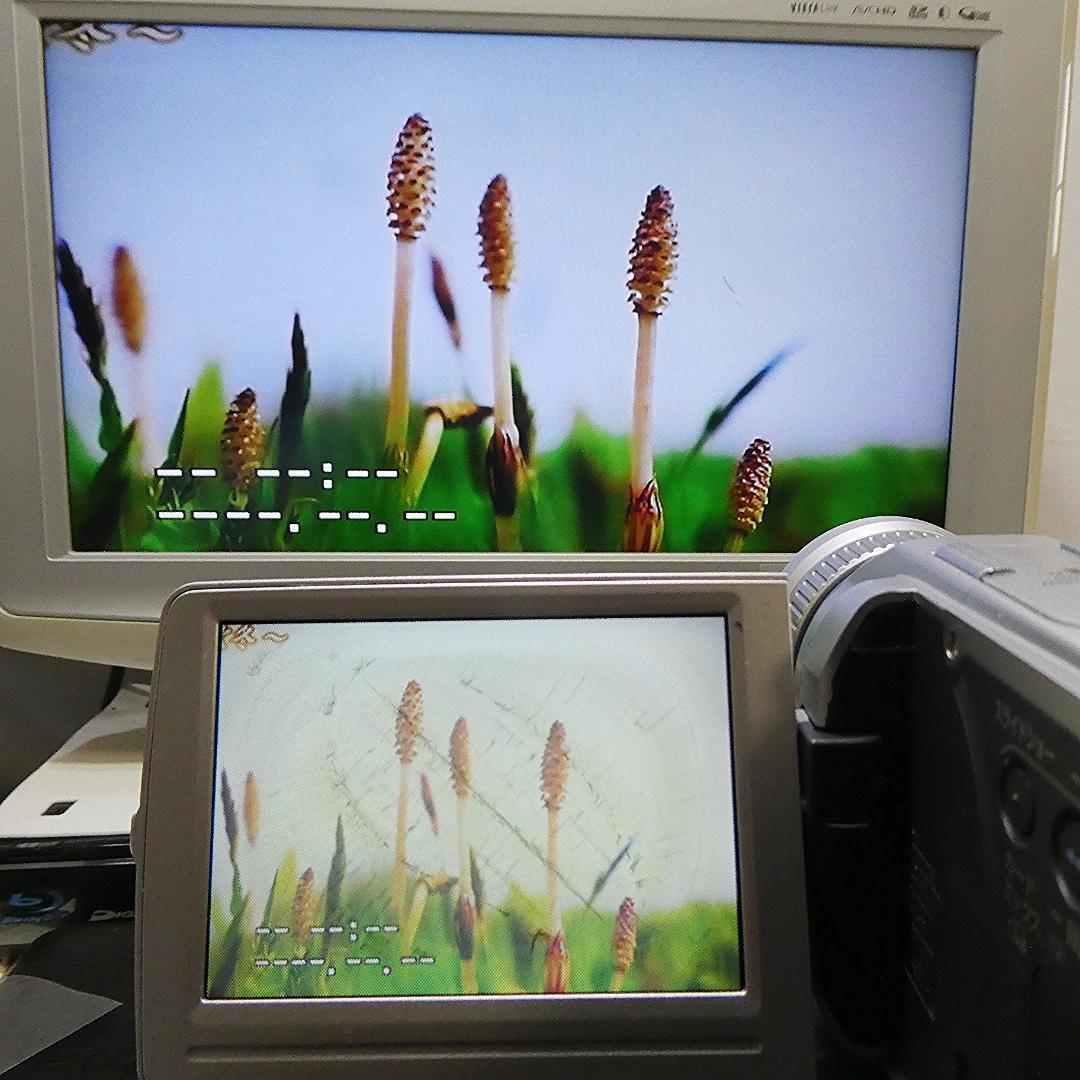 動作良好 キャノン DM-FV M10 MiniDVビデオカメラ DVD化に最適