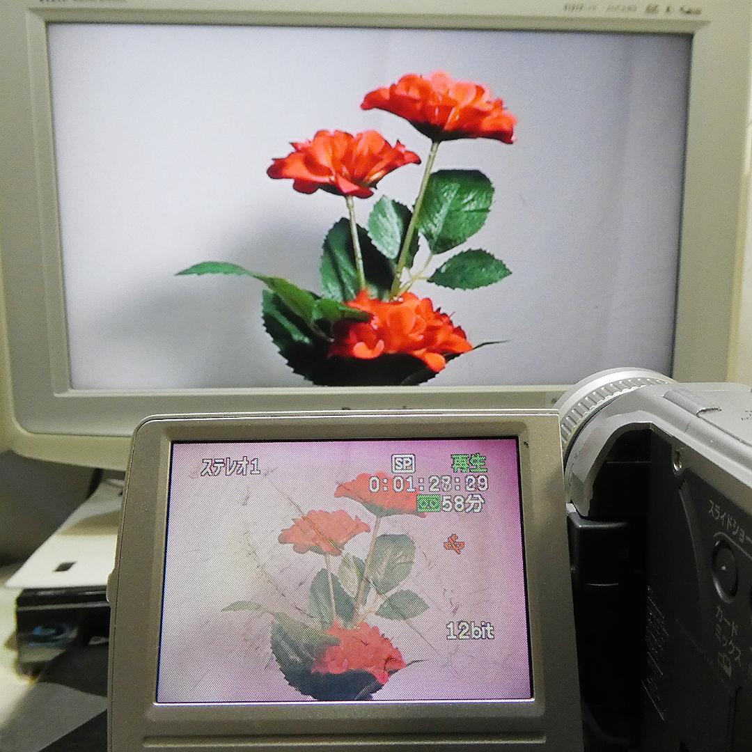 動作良好 キャノン DM-FV M10 MiniDVビデオカメラ DVD化に最適