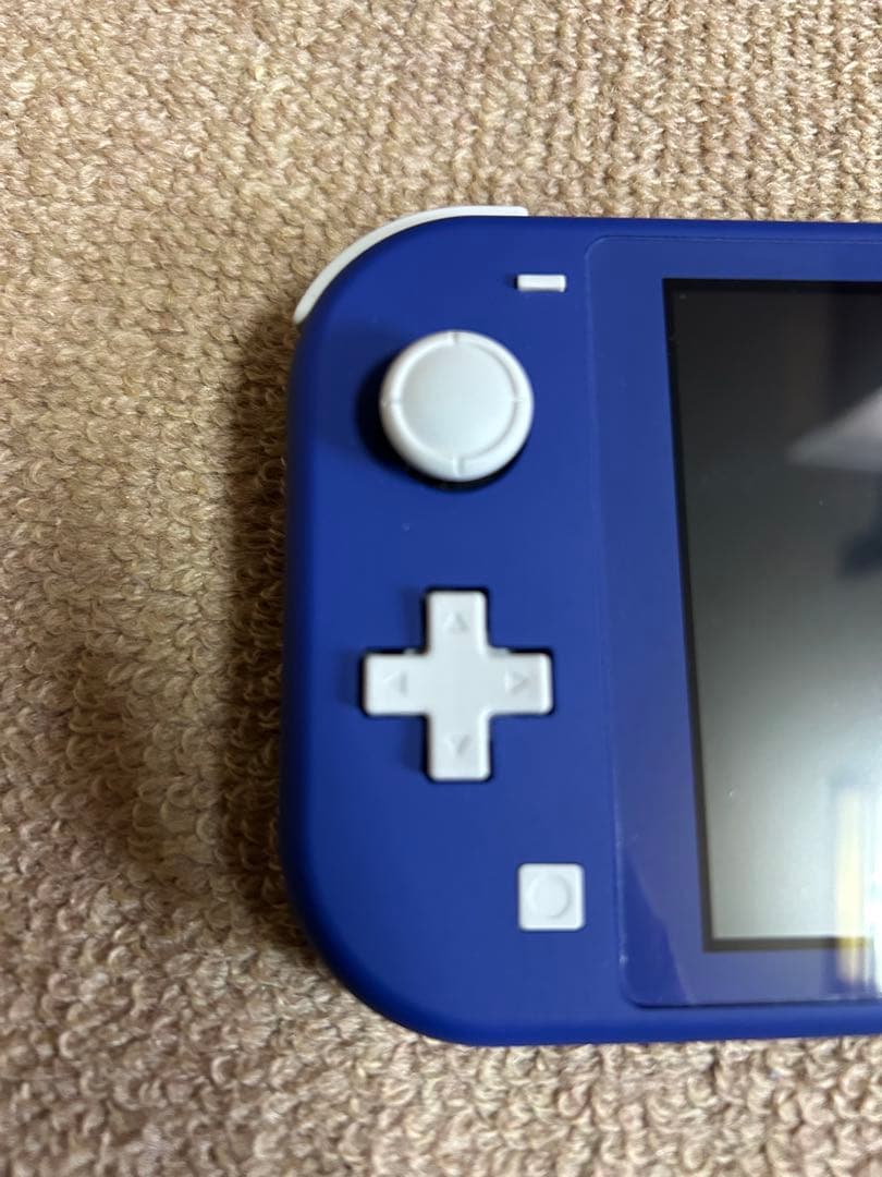 Nintendo Switch Lite 青 本体 ケースと充電器付き