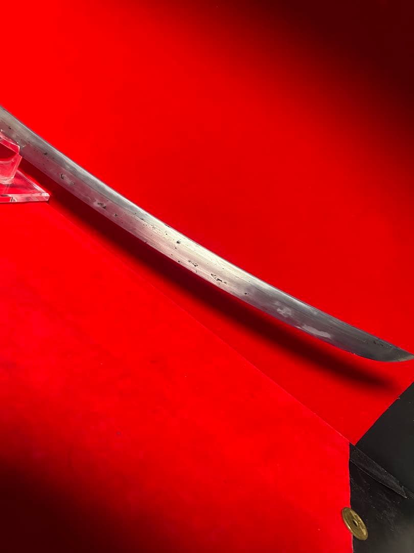 01570 包丁　マグロ包丁　先丸型　刃文有り　玉鋼　鬼反り　未使用品