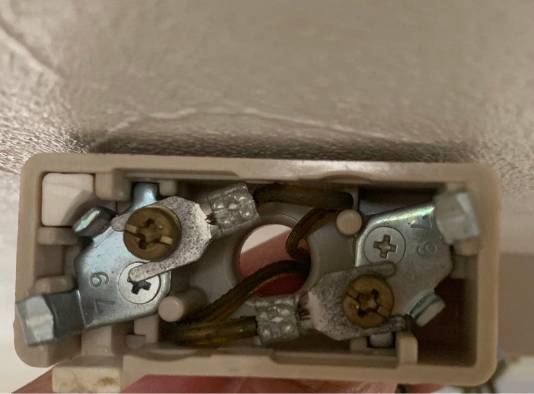 フランスアンティーク　ガラスシェード　ペンダントライト