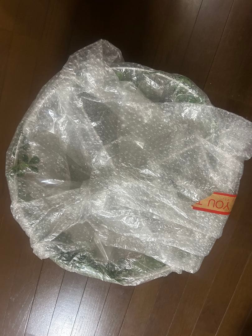 植物と鳥のデザイン ペンダントライト