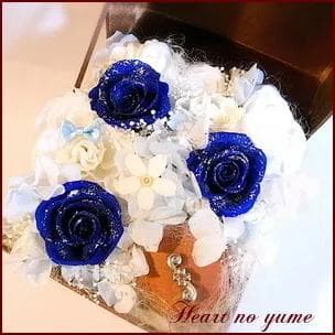 オルゴール　プリザーブドフラワー青いバラ　ブルーローズ　未来予想図2　ドリカム