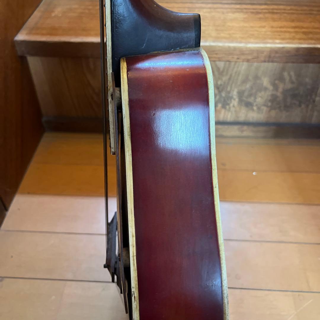 マンドリン　USA