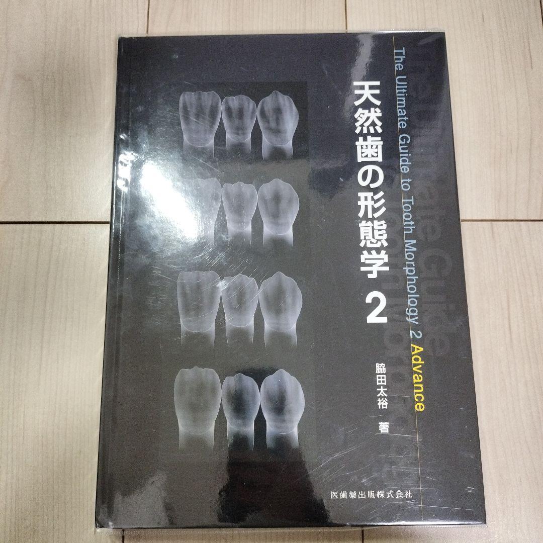 天然歯の形態学 2