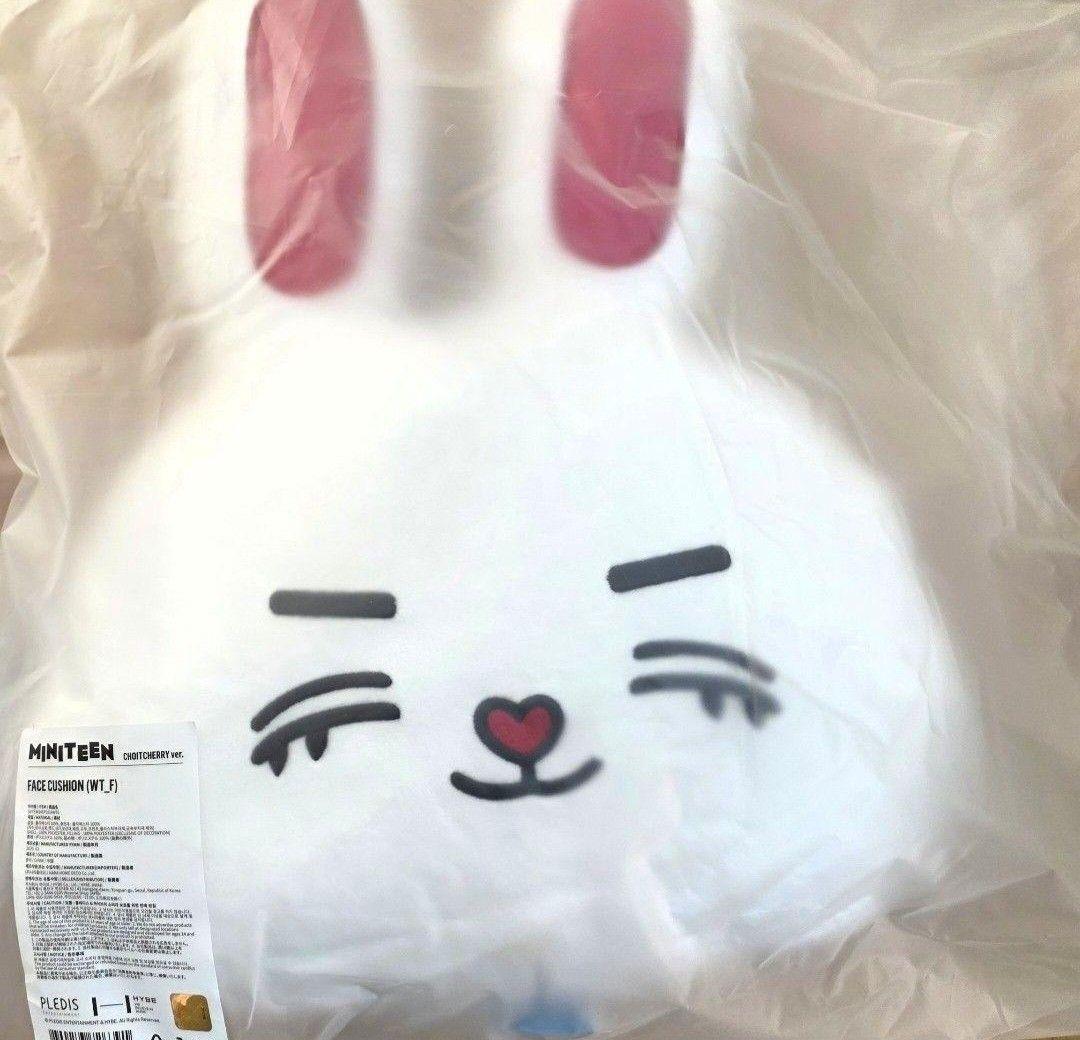 SEVENTEEN MINITEEN エスクプス フェイスクッション