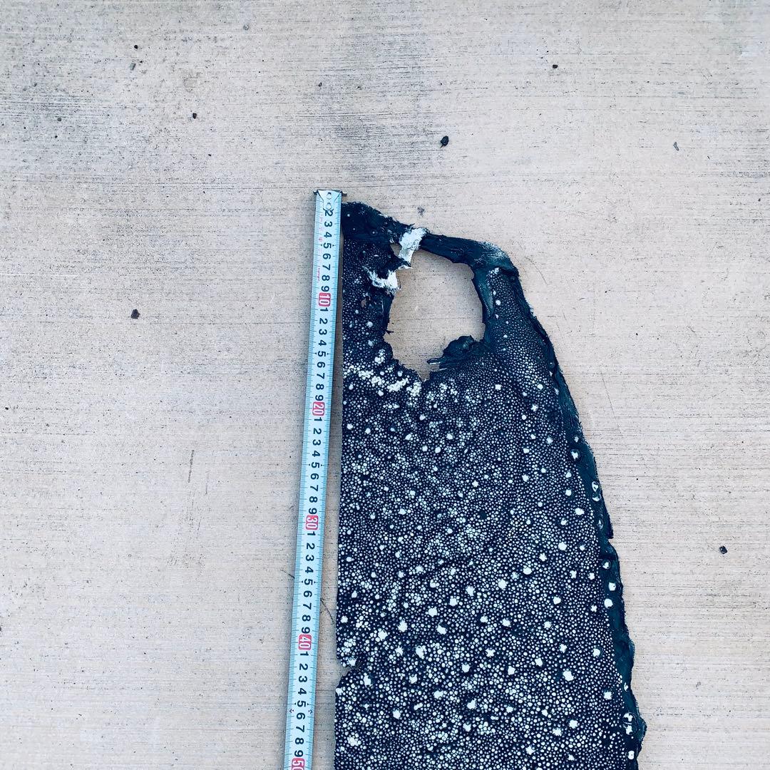 24) イバラエイ スター カイラギ エイ革 stingray ガルーシャ